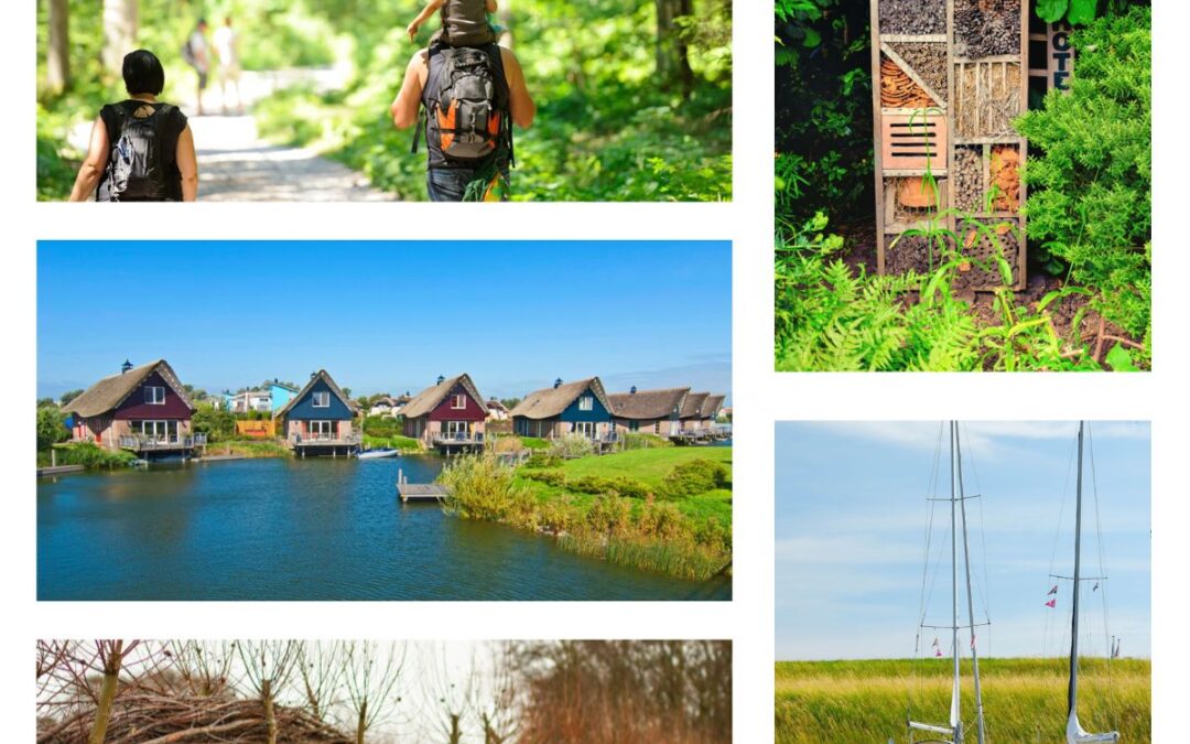 Nieuw Ondernemend Aalsmeer 1 Natuur inclusief Ondernemen voor de recreatiesector!