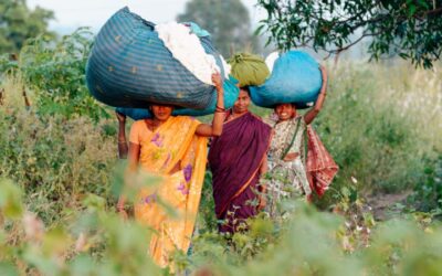 Actueel 3 Fairtrade week: Fair Fashion en katoen