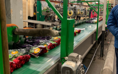TEK-voorwaarden definitief, opening 21 maart