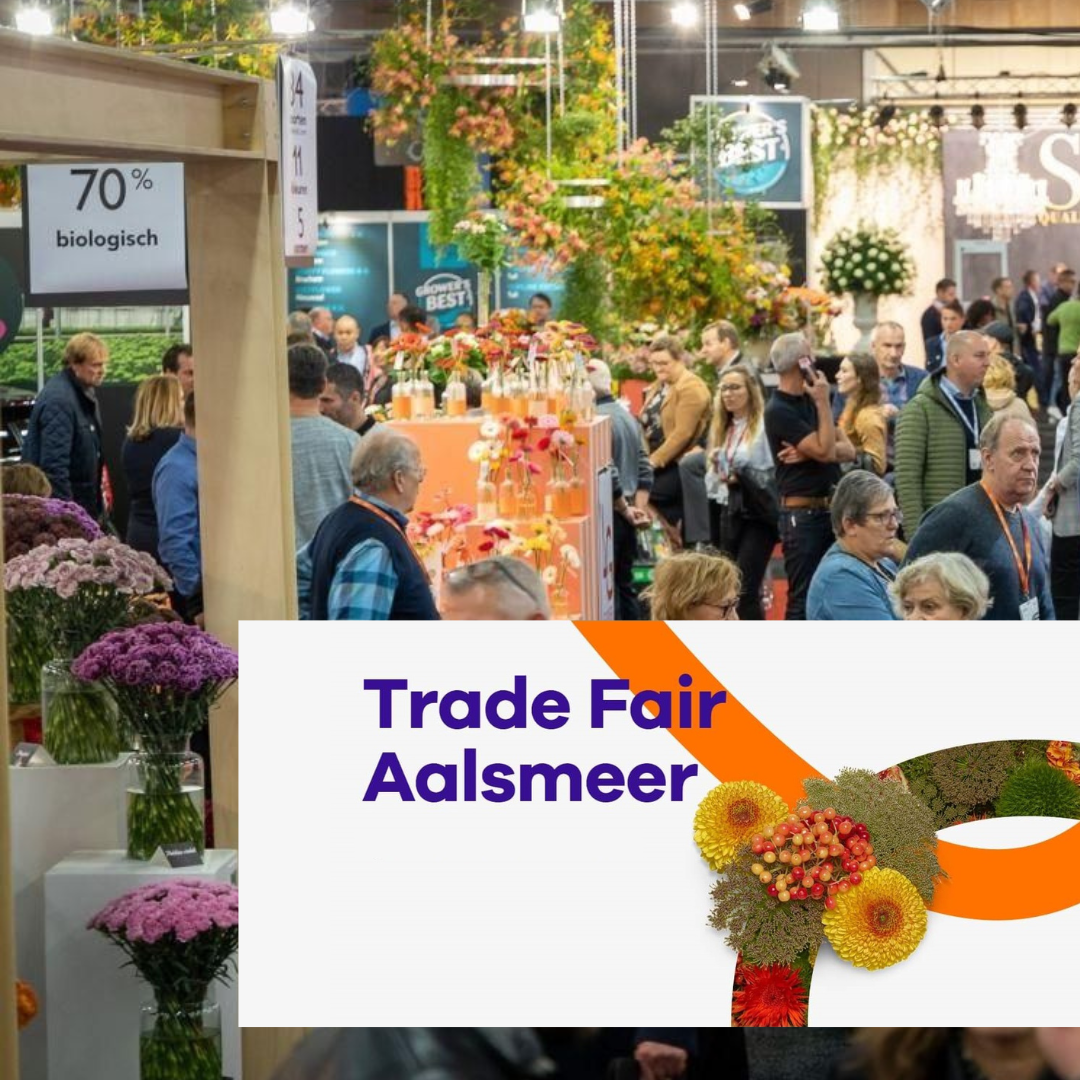Trade Fair Aalsmeer Nieuw Ondernemend Aalsmeer