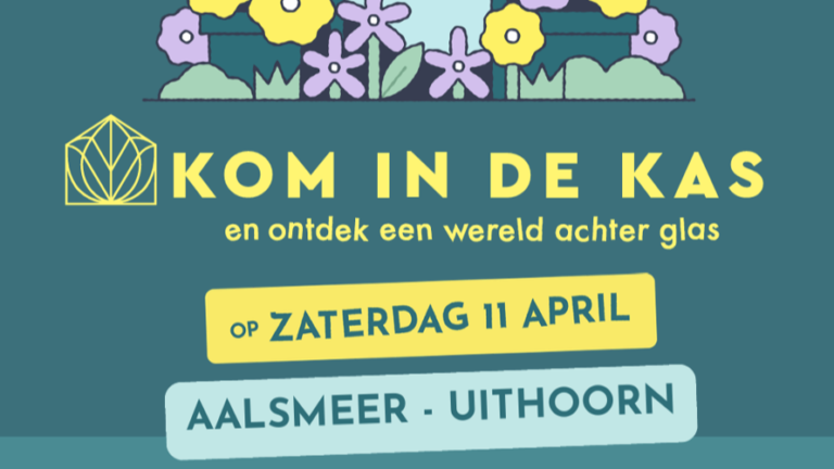 GD Archive 3 ccfea034 6f39 509a 8b53 e165f04fb4bb 768x432